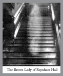 1.रेहम हॉल की ब्राउन लेडीः
नोरफॉक इंग्लैंड के रेहम हॉल में 1936 में कैमरे में कैद हुए इस साये को ब्राउन लेडी कहा जाता था। इसमें भूरे रंग के बूटेदार कपड़े पहनी हुई महिला को देखा गया था। इसका नाम लेडी डोरोथी था, जो चार्ल्स टाउनशेंड नामक व्यक्ति की दूसरी पत्नी थी।
महिला को विश्वासघात करने पर सजा के रूप में घर में बंद कर दिया था। बाद में उसकी मौत हो गई थी। कई लोगों के साथ जॉर्ज पंचम ने भी कहा था कि उन्होंने एक भूरी महिला को देखा है। अंत में एक दिन उसकी तस्वीर देख कर उनके होश उड़ गए। बाद में यह तस्वीर लाइफ मैगजीन में भी प्रकाशित हुई। आगे चलिए